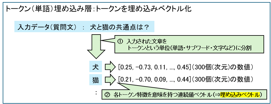 トークン（単語）埋め込み層