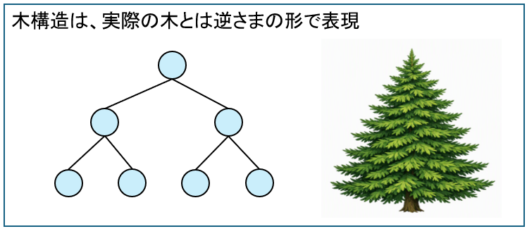 木構造は、実際の木とは逆さまの形で表現
