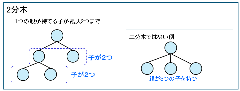 2分木